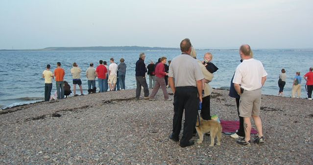Evening dolphin watching at Chanonry Point