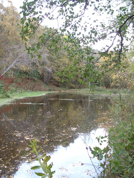 Fairy Glen Dam