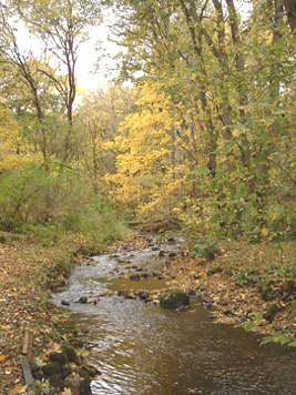 Fairy Glen