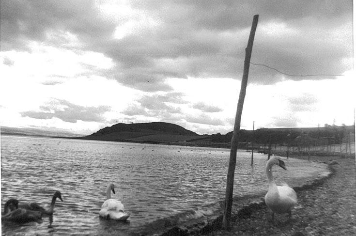 Avoch (?), 1958