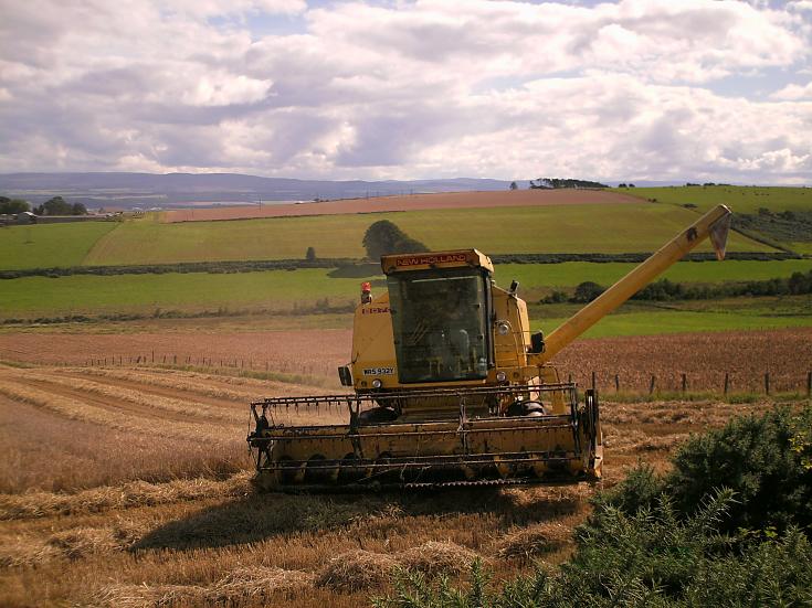 Combining at Flowerburn Mains