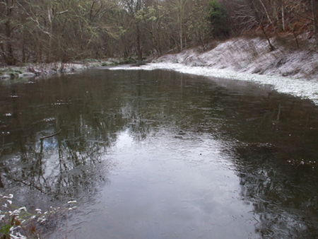 Frozen Pond