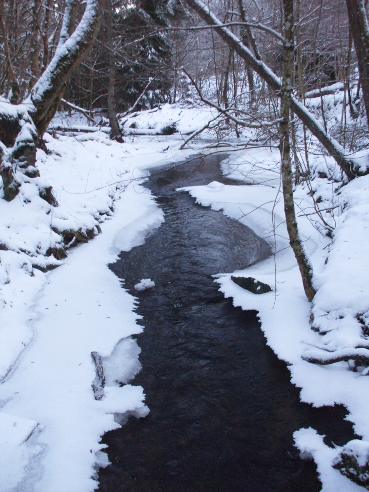 Fairy Glen