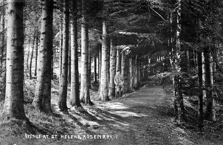 St Helena Rosemarkie