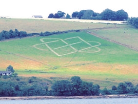 Hillside design by Brian Wright at Corslet Farm