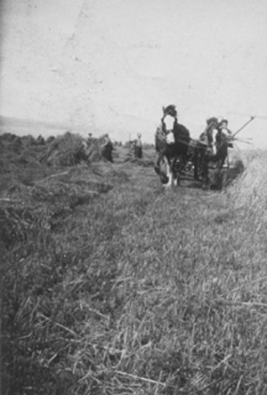 Harvesting