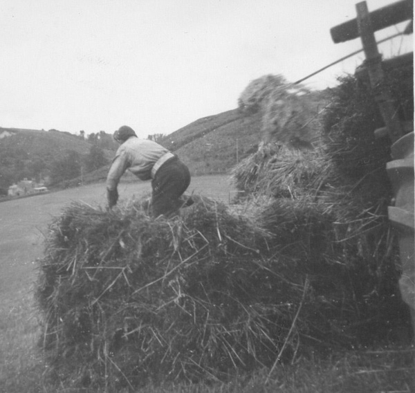 Harvest time