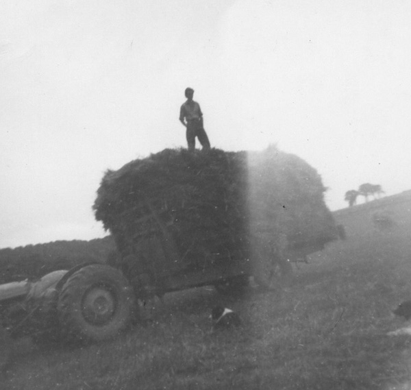 Farming